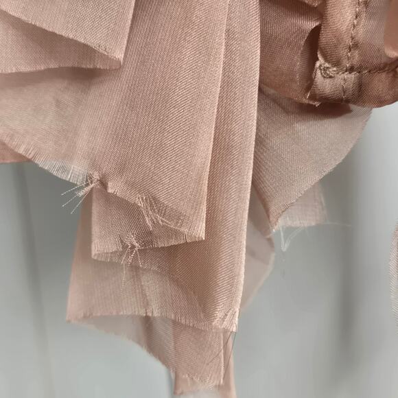 Fashion Nova Sweet Temptations Sheer Ruffle Balloon sleeve 90s Top Medium Rose - Picture 16 of 17